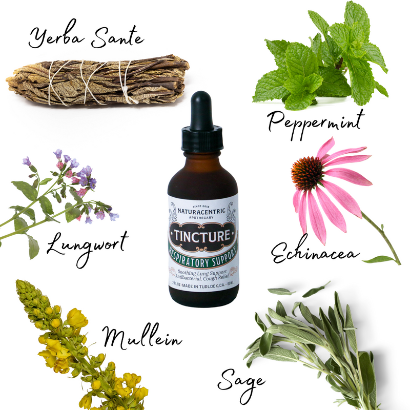Respiratory Support Tincture - Naturacentric