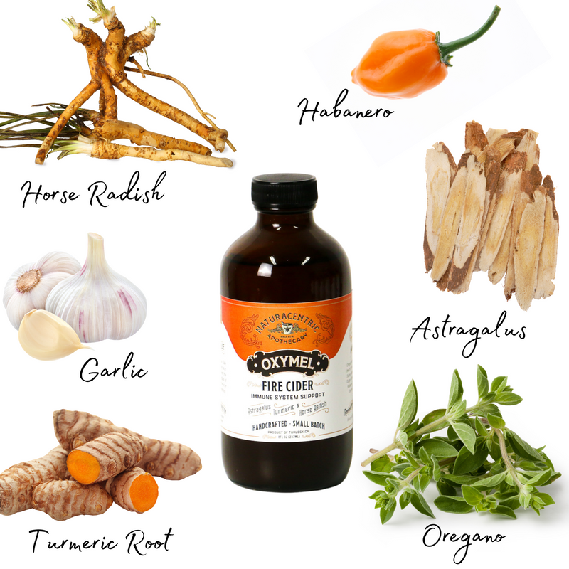 Fire Cider Oxymel - Naturacentric
