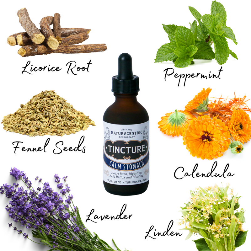 Calm Stomach Tincture - Naturacentric