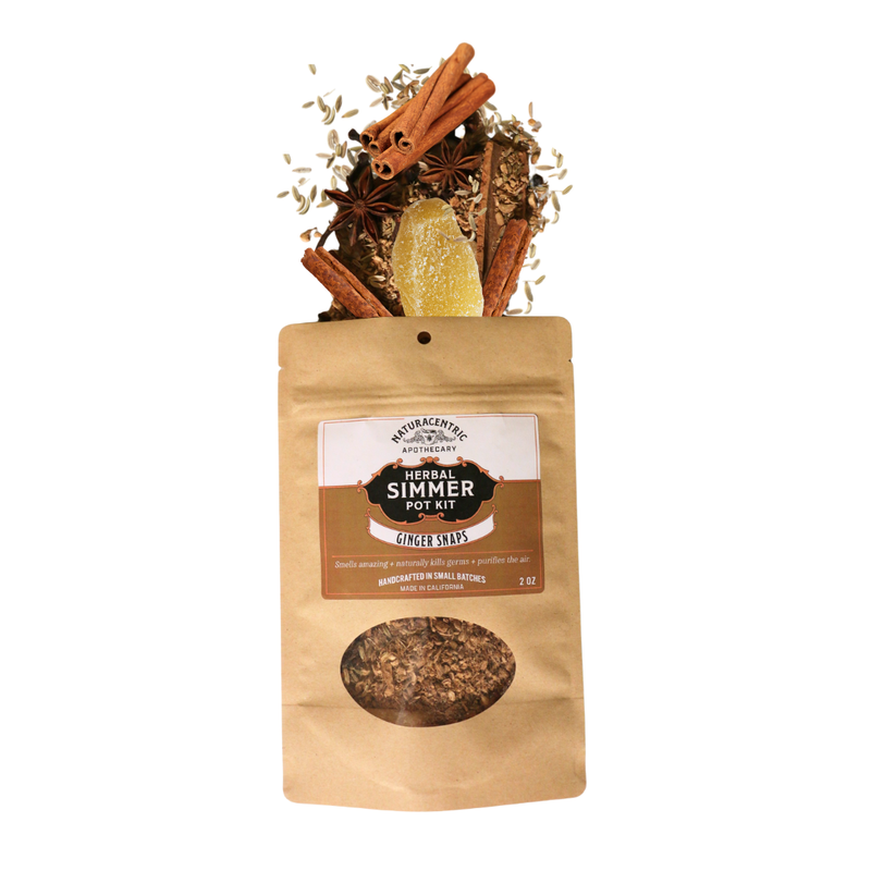 Ginger Snaps Simmer Pot Kit