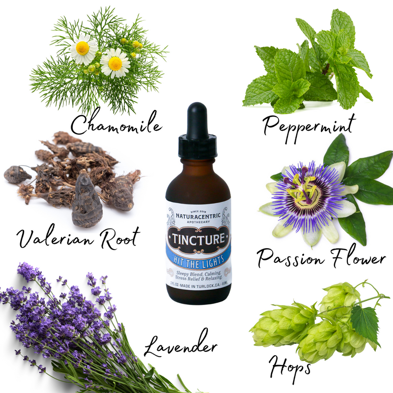 Hit the Lights Tincture - Naturacentric 
